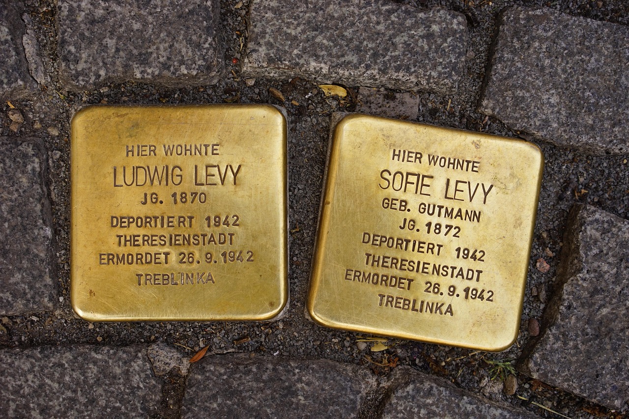 1745981882401099.jpg